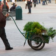 L'uomo col carretto