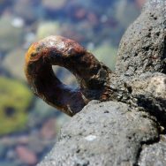 Anello con salmastro 2