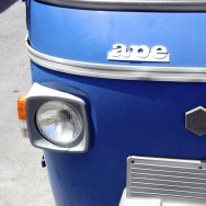 Ape