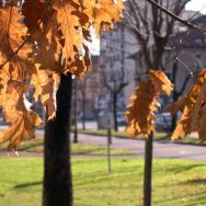 Autunno