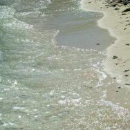 Onde