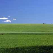 Blu + Verde