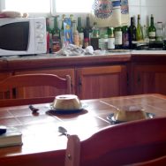 Budino
