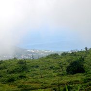 Nebbia
