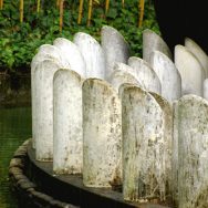 Denti di balena