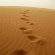 Real desert storm