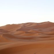 Dune silenziose