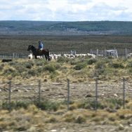 El Gaucho