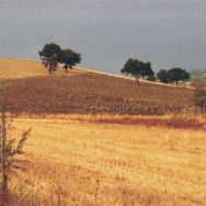 Toscana